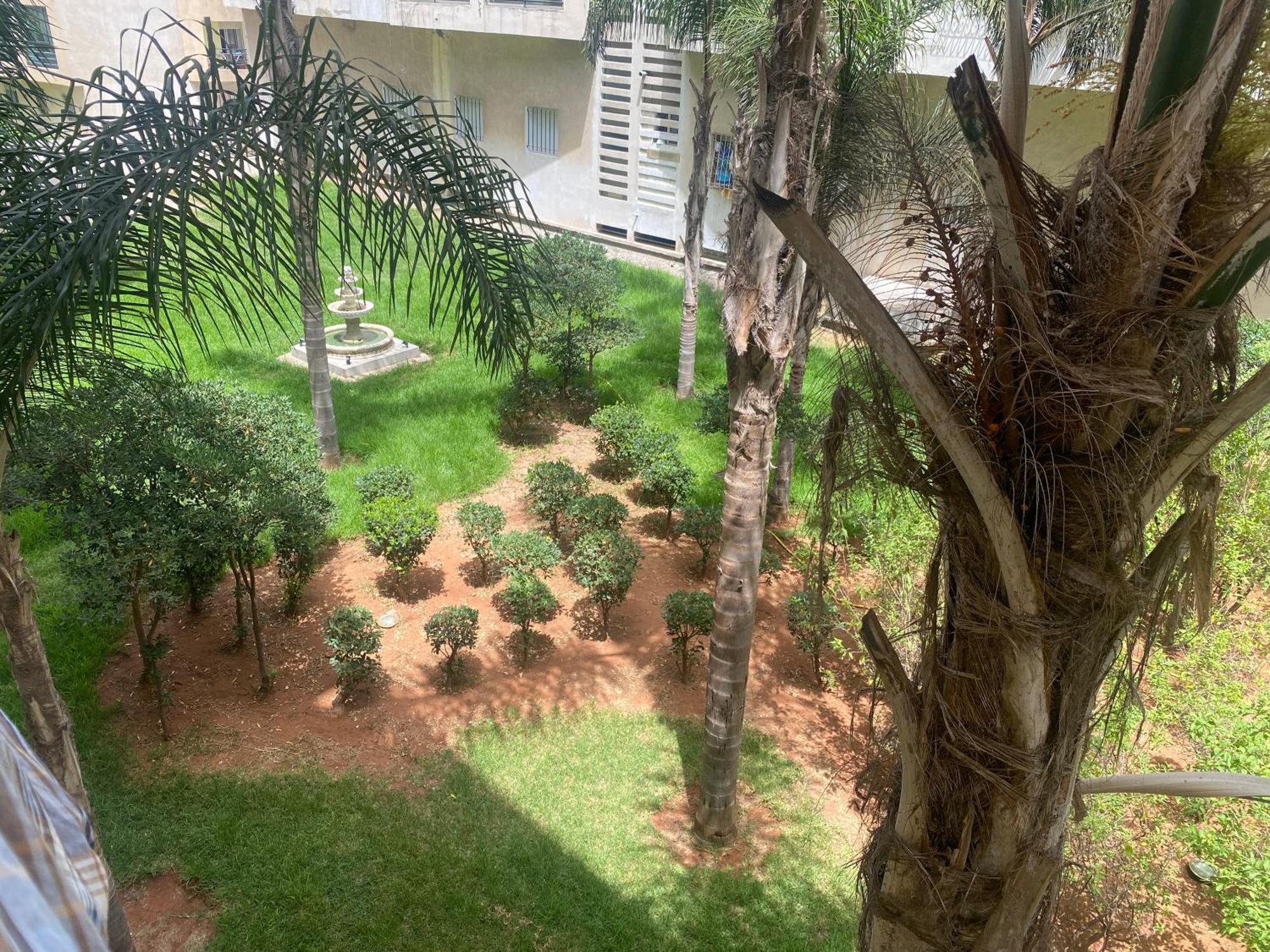 Jardin Des Belvederes *